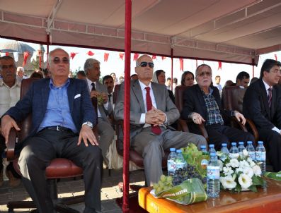 ERDINÇ YıLMAZ - 19. İncesu Üzüm Festivali`ne Yoğun İlgi