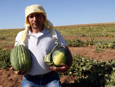 ‘alo Kavun’ Projesi Hayatını Değiştirdi