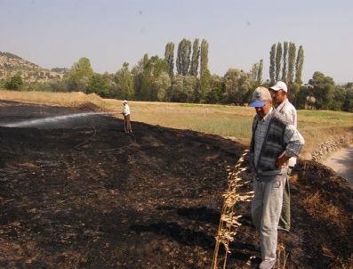 Çay Demlemek İsterken Tarlayı Yaktılar
