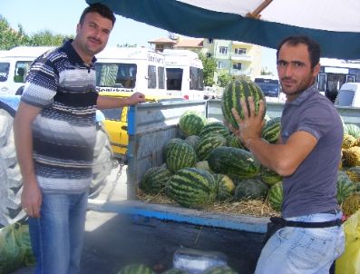 İsparta Senirkent İlçesinde Karpuz 10 Kuruşa Kadar İndi