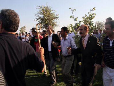 MAHMUT YıLMAZ - Karpuz Festivali Renki Görüntülere Sahne Oldu