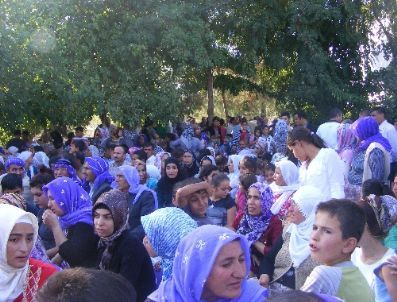 Sabır Günü`nde Japonlara `sabır Ödülü`