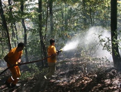 BEYCUMA - Zonguldak`ta 1 Hektar Ormanlık Alan Yandı