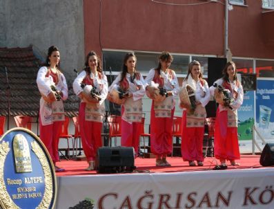 Çağrışan'da Bağbozumu Festivali