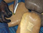 Gaziantep Van hattında uyuşturucu operasyonu