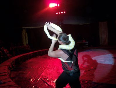 Gümüşhane’de Safari Sirk Gösterisi Büyüledi