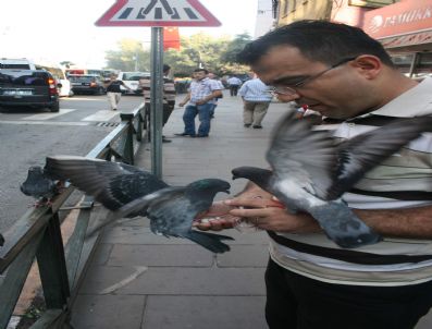 Güvercinlerin Leblebi Keyfi