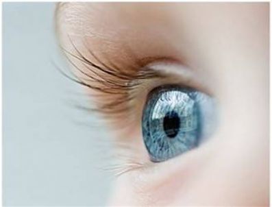 Körlüğe neden olan gen bulundu