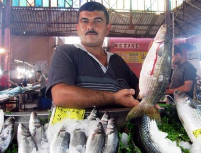 Ödemiş`te Balık Bereketi