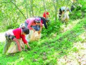 Onların Ders Zili Henüz Çalmadı