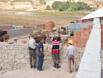 Sit Alanına Ahır Yapılmasına Soruşturma