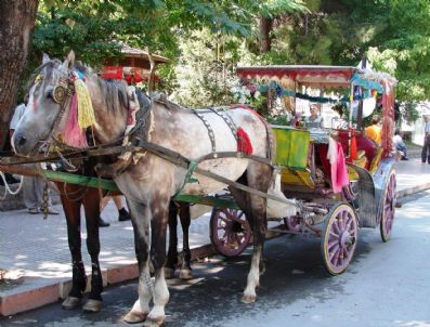 SERVET ÇETİN - Burdur`da Faytonculuk Tarihe Karışıyor