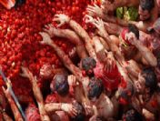 İspanya domates festivali