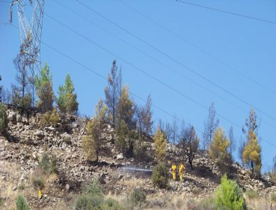 Mut`ta Orman Yangını