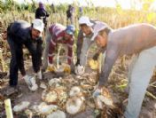 Şanlıurfalı İşçilerin Aksaray`da Ekmek Mücadelesi