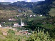 Belediye İle Kooperatifin Yolcu Kavgası