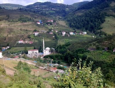 CEVAT CANLı - Belediye İle Kooperatifin Yolcu Kavgası