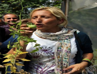 MELDA ONUR - Chp İstanbul Milletvekilinden Direnişçilere Destek