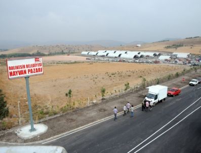 BALıKESIR BELEDIYESI - Ege ve Marmara Bölgelerinin En Büyük Hayvan Pazarı Balıkesir'de Açıldı