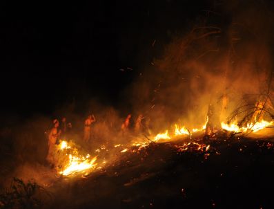 KAYAKÖY - Fethiye’de Orman Yangını