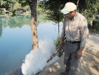 Manavgat`ta Durgun Su Birikintileri İlaçlanıyor