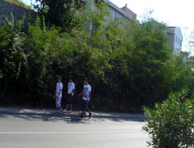 Yol Kenarındaki Çalılık Alanlar Tehlikeye Sebep Oluyor