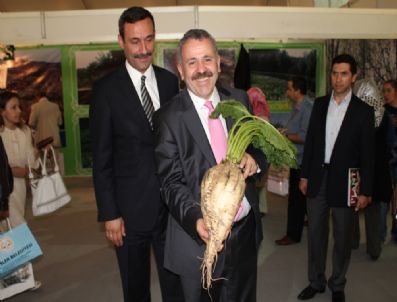 ŞABAN DİŞLİ - Adapazarı Şeker Fabrikasının Sakarya Tanıtım Günleri Fuarında Açtığı Stantta Gündem Kota Oldu