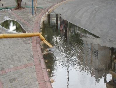 TOSMUR - Alanya’da Etkili Yağış: Yaklaşık 40 Ev ve İşyerine Su Bastı