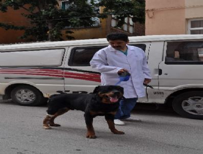 Kazada Ayağını Kaybeden Oscar’a Protez Bacak