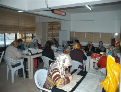 AZATLı - Uğur Böceğine Kayıtlar Başladı