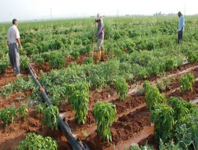 Çiftçiler de kayıt altına alınıyor