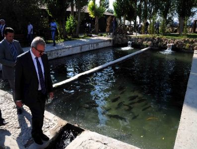 NURULLAH KAYA - Van`da Alabalık Üretim Merkezleri Yapılacak