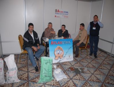 Yunanistan’daki Kriz Muğla’yı Da Vurdu