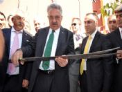 Bakan Yazıcı, Zülfikarı Eline Aldı, Yazmaya Boyalı Baskı Yaptı