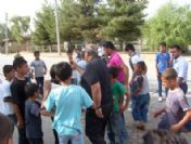 Bdp`li Kaplan`dan Taş Atan Çocuklara Tepki