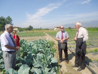 Erbaa Çiftçisi İkinci Hasat İçin Brokoli ve Karnıbahar Ekecek