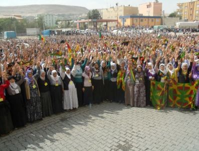 Hasip Kaplan, Kck`ya Yönelik Operasyonları Eleştirdi