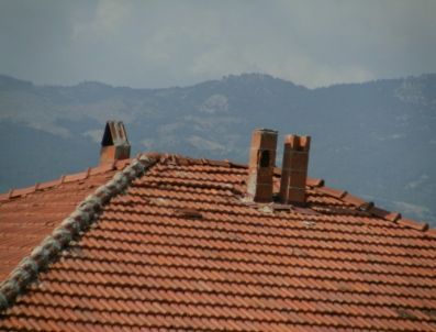 Damadın evinin abcasına ateş açmakta ıosrar eden kişi dört kişiyi vurdu