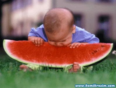 CORNELL ÜNIVERSITESI - İşte fazla kilonun gizli nedeni