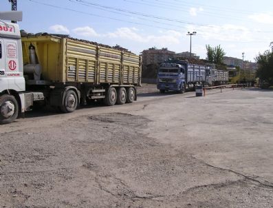 ŞEKER İŞ SENDIKASı - Malatya Şeker Fabrikası`nda Pancar Alamına Başlandı