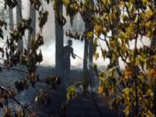 Mit Lojmanları Karşısında Çıkan Yangın Paniğe Sebep Oldu