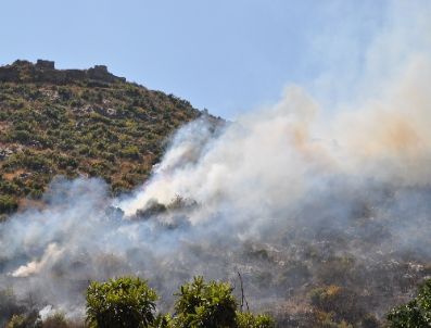 Tarihi Kaledeki 1,5 Hektarlık Alan Kül Oldu (2)