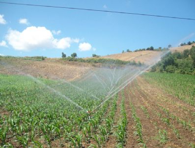 550 Hektar Tarım Alanı Modern Sulama Sistemine Kavuştu