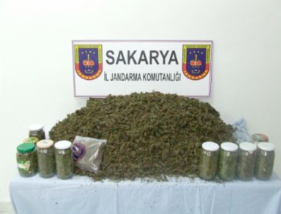 Sakarya'da Uyuşturucu Operasyonu: 9,5 Kilogram Esrar Ele Geçirildi