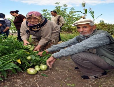 Şeker Hastalarına Müjde