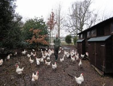 JULİAN ASSANGE - Assange'a destek olmayı sürdüreceğim