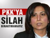 BDP, PKK'ya silah bıraktıramaz