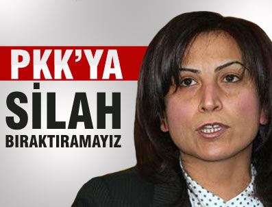 BDP, PKK'ya silah bıraktıramaz