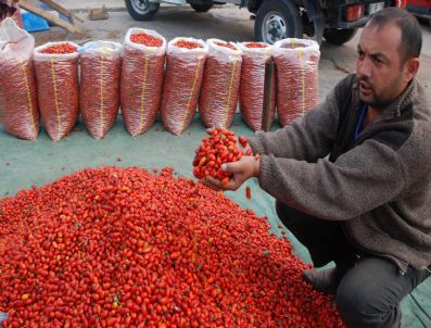 Kuşburnu Vücut Direncini Artırıyor