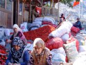 Saittabad kadınları salça gelirini hayır işinde kullanıyor